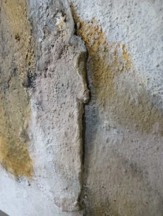 Image 1 of Rob Jacobs - Playa Dorada