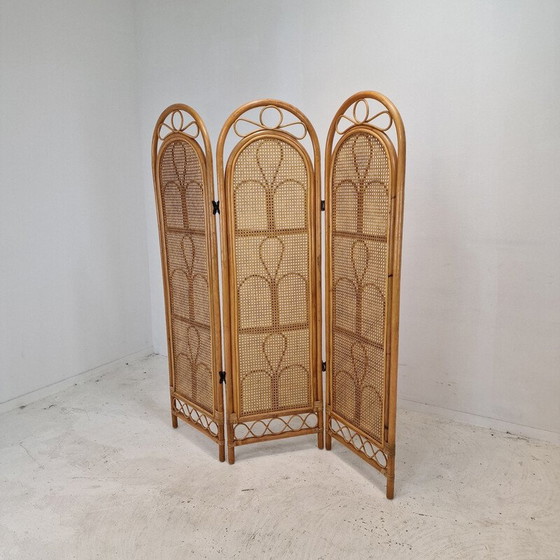 Image 1 of Vintage rattan and wicker screen, Italy 1960