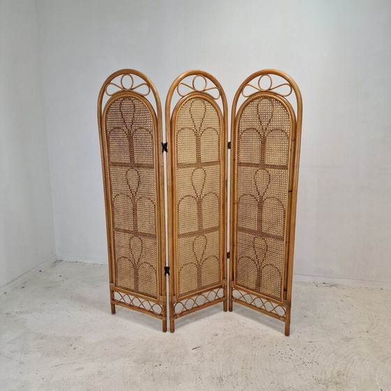 Image 1 of Vintage rattan and wicker screen, Italy 1960