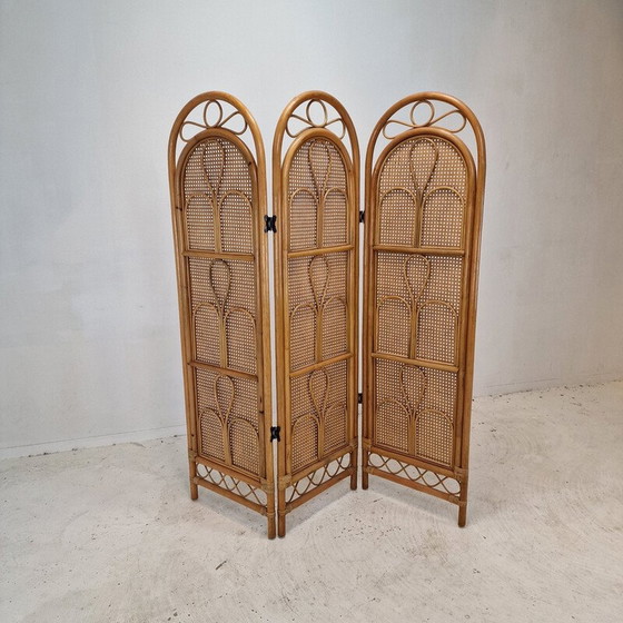 Image 1 of Vintage rattan and wicker screen, Italy 1960
