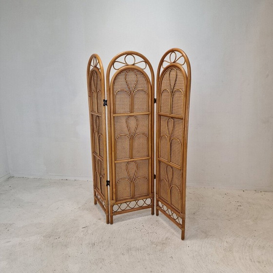 Image 1 of Vintage rattan and wicker screen, Italy 1960
