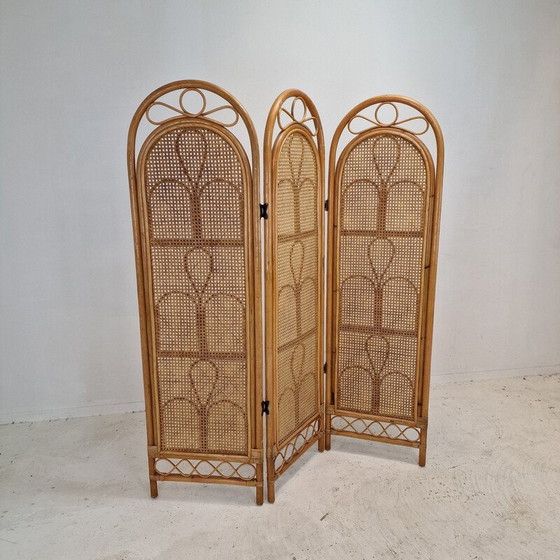 Image 1 of Vintage rattan and wicker screen, Italy 1960