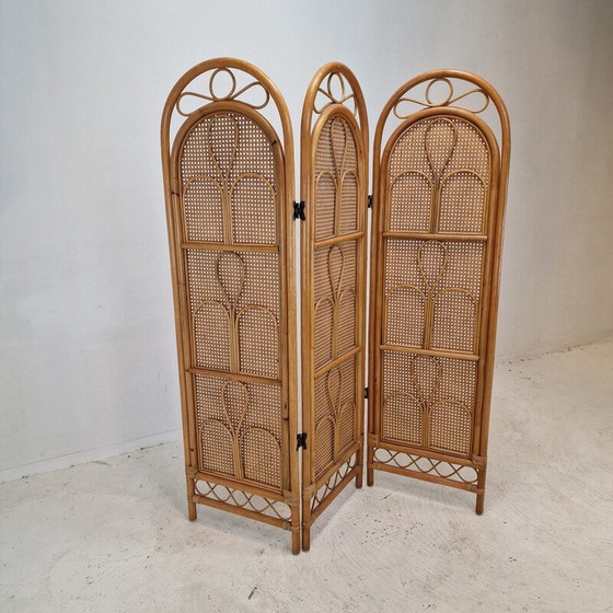 Image 1 of Vintage rattan and wicker screen, Italy 1960