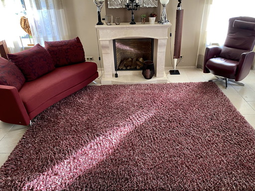 Carpet Admiration 300 X 230