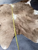Taupe-colored cowhide