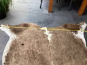Cuir de vache de couleur taupe