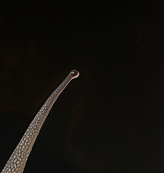 Image 1 of Freudian Still-Life