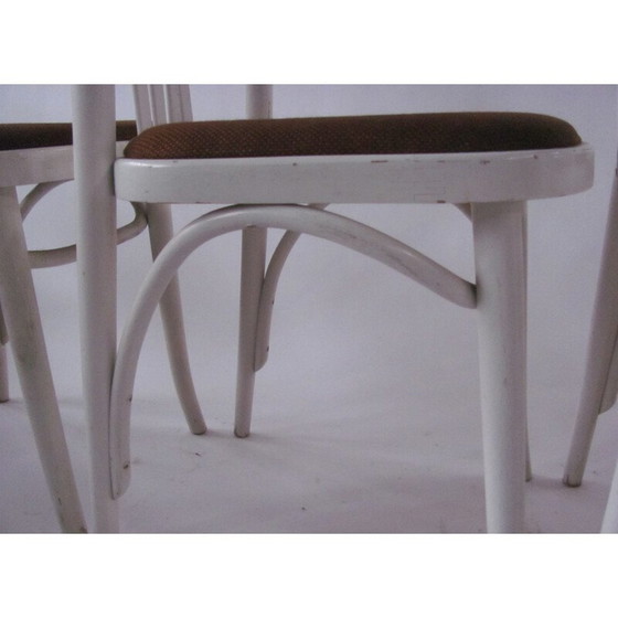 Image 1 of Set of 4 vintage beechwood chairs by Ton, Czechoslovakia 1970