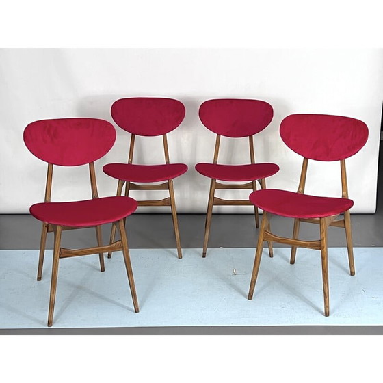 Image 1 of Set di 4 sedie da pranzo in velluto rosso e legno di metà secolo, Italia anni '50