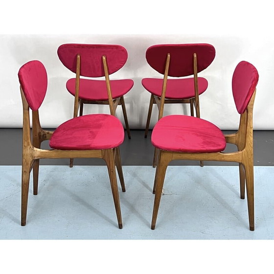 Image 1 of Set di 4 sedie da pranzo in velluto rosso e legno di metà secolo, Italia anni '50