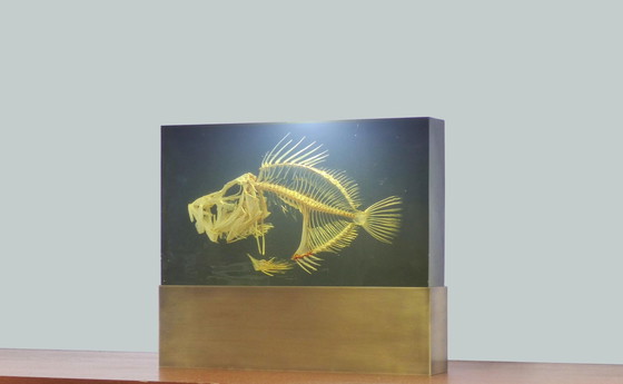 Image 1 of Lampe Inclusion Squelette De Poisson Pierre Giraudon Xxl