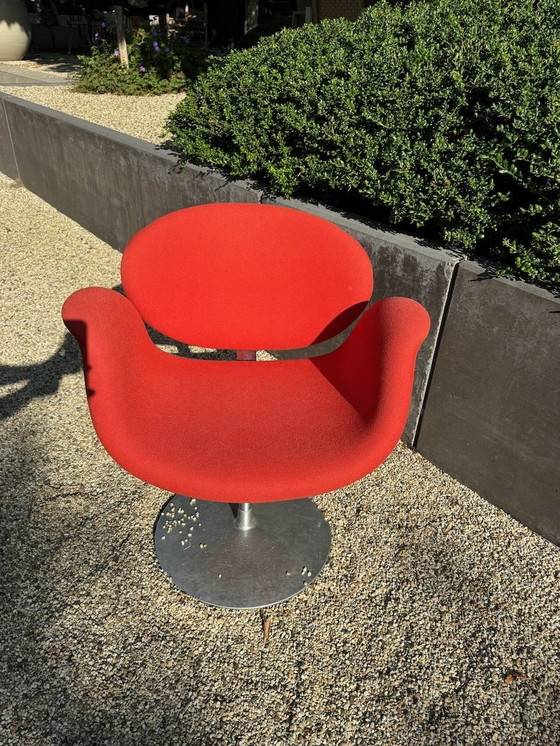 Image 1 of Artifort Little Tulip Swivel Chair Red