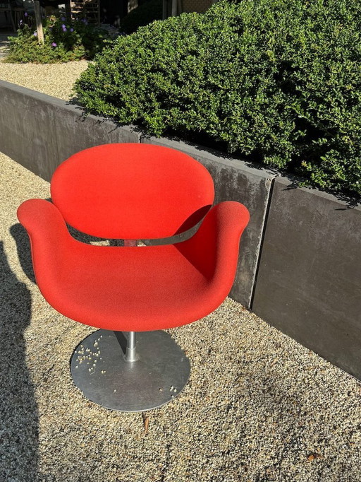 Artifort Little Tulip Swivel Chair Red