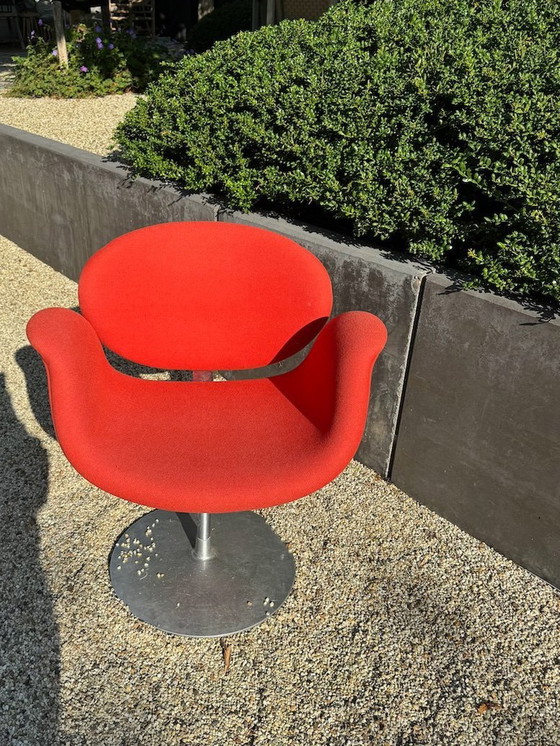 Image 1 of Artifort Little Tulip Swivel Chair Red