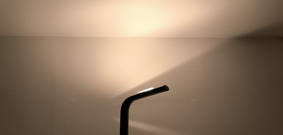 Image 1 of Magnificent ''Orchidéa'' Design Floor Lamp by Gianfranco Frattini for Relco