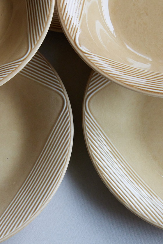 Image 1 of 8 Dishes (5 Flat + 3 Hollow)