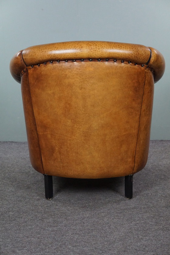 Image 1 of Light sheep leather club chair with black piping