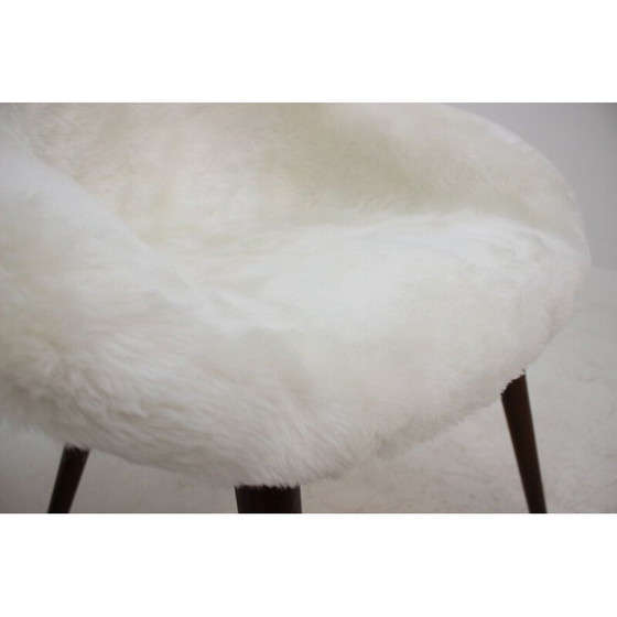 Image 1 of Pair of 2 vintage dining chairs by Miroslav Navratil ,1960