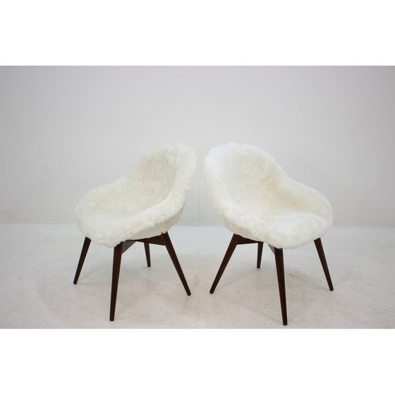 Image 1 of Pair of 2 vintage dining chairs by Miroslav Navratil ,1960