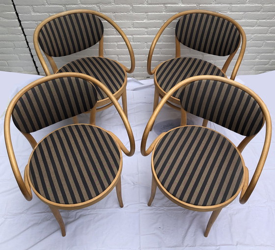 Image 1 of 4x Thonet 210 P Chairs