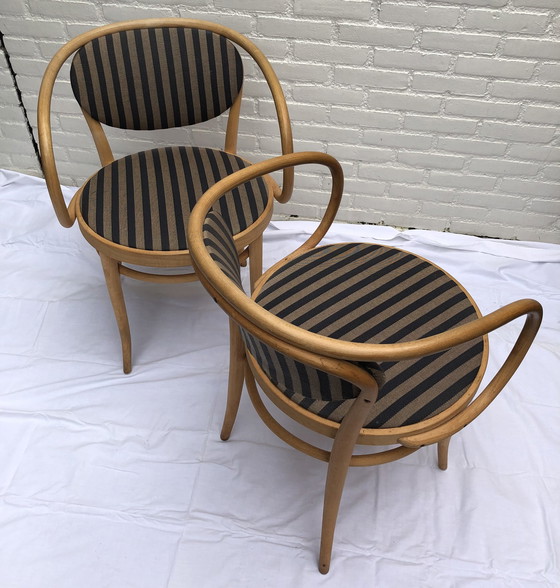 Image 1 of 4x Thonet 210 P Chairs