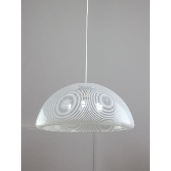 Image 1 of Vintage Cabras pendant lamp by Luigi Massoni for Guzzini, 1960