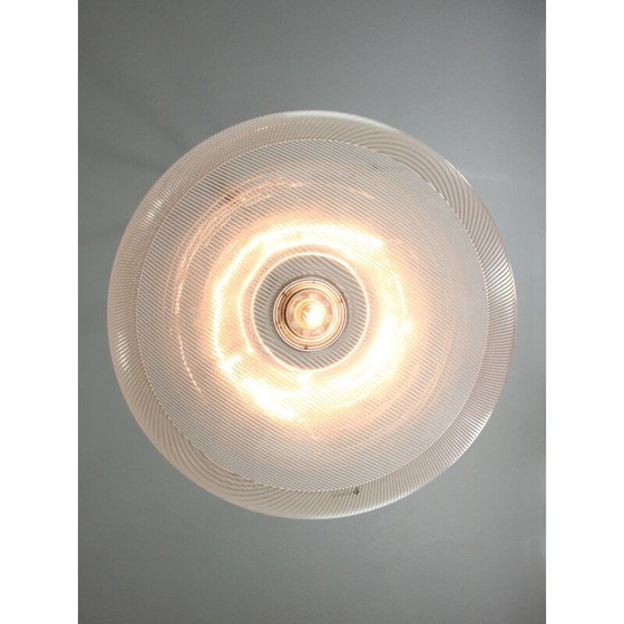 Image 1 of Vintage Cabras pendant lamp by Luigi Massoni for Guzzini, 1960