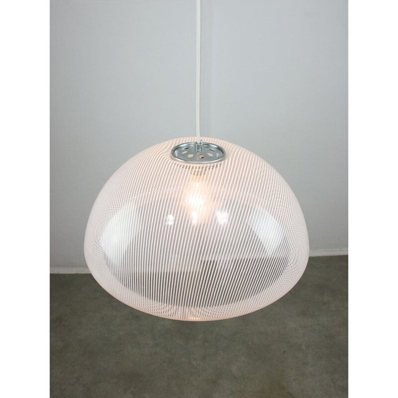 Image 1 of Vintage Cabras pendant lamp by Luigi Massoni for Guzzini, 1960