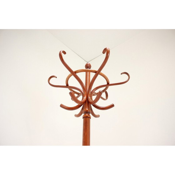 Image 1 of Vintage bentwood floor hanger for Ton, Czechoslovakia 1980