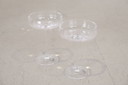 2x Fest Nipper Champagne glasses