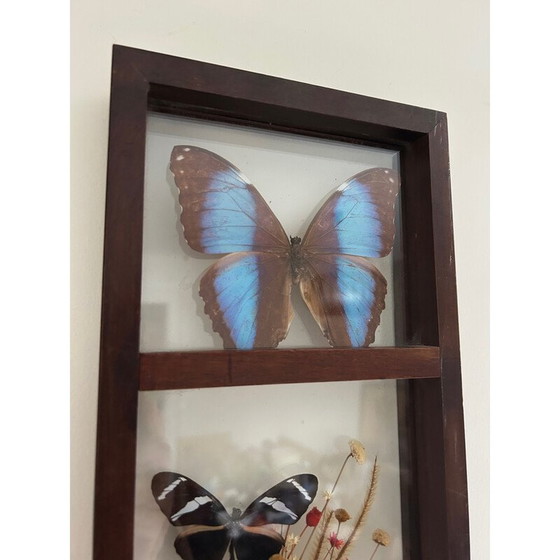 Image 1 of Vintage glass frame with naturalized butterflies and flowers, 1970