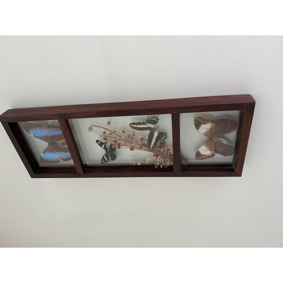 Image 1 of Vintage glass frame with naturalized butterflies and flowers, 1970