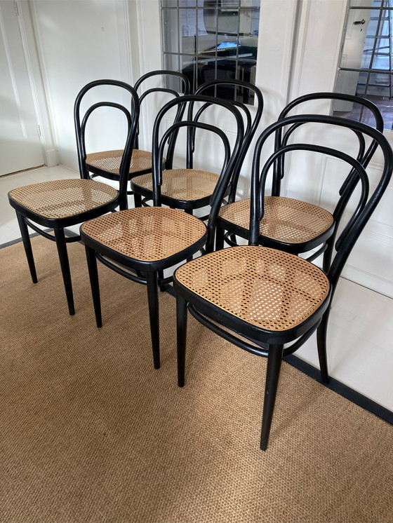 Image 1 of 6 sillas Thonet n.° 214