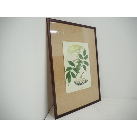 Image 1 of Manifesto scolastico d'epoca, Cecoslovacchia 1960