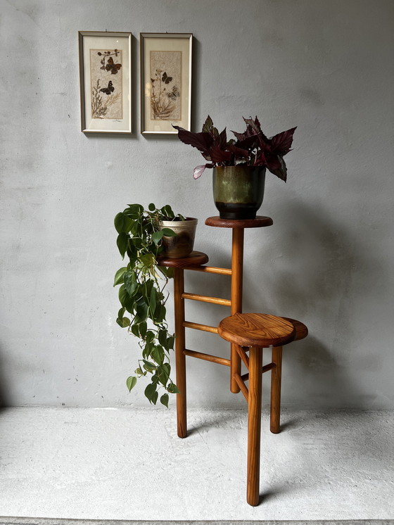 Image 1 of Pine Plant Table Scandinavian Design 1970s