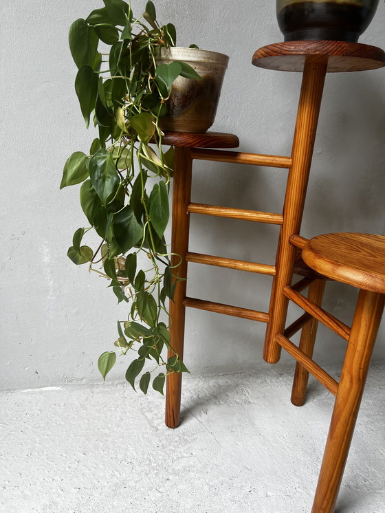 Image 1 of Pine Plant Table Scandinavian Design 1970s