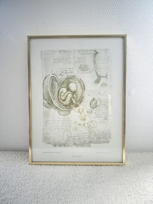 Davinci 'Baby In The Womb' Framed Print