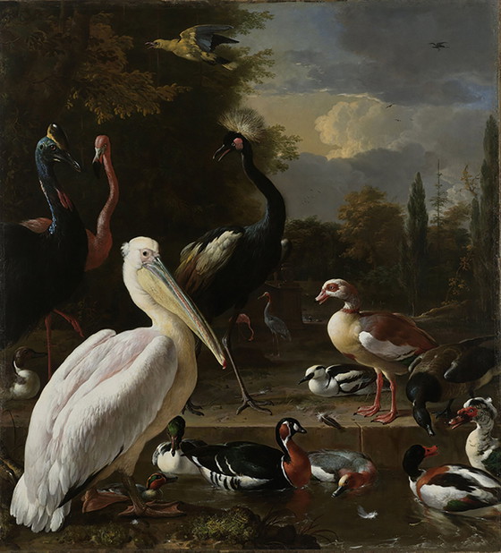 Image 1 of Melchior d'Hondecoeter - The floating feather