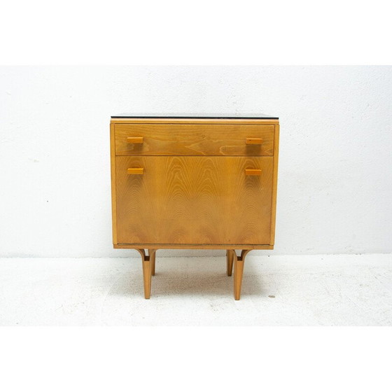 Image 1 of Pair of mid century night stands by Frantisek Mezulanik for Nový Domov, 1970s