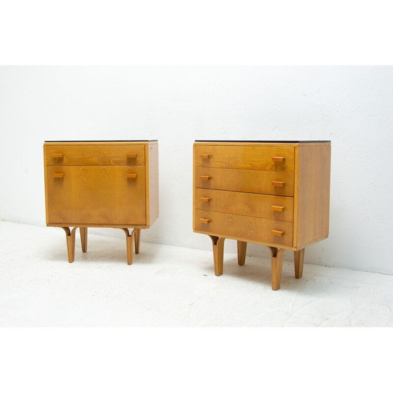 Image 1 of Pair of mid century night stands by Frantisek Mezulanik for Nový Domov, 1970s