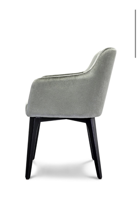 Image 1 of 8 Dining chairs Macazz Alba