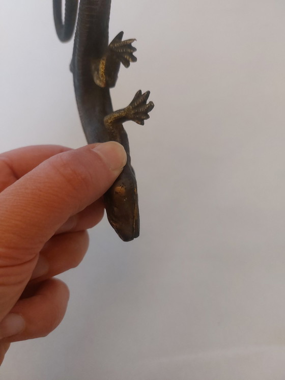 Image 1 of Brass Salamander