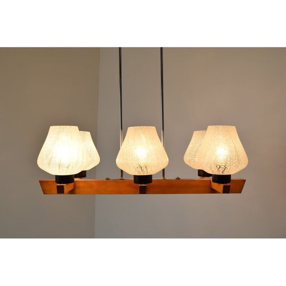 Image 1 of Lampadario vintage in legno di Jilove u Decina, Cecoslovacchia, 1970