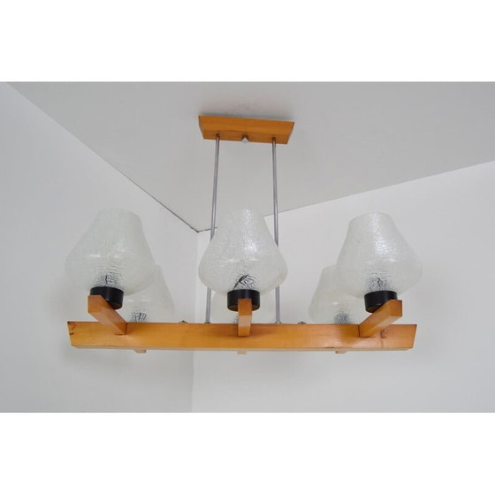 Image 1 of Lampadario vintage in legno di Jilove u Decina, Cecoslovacchia, 1970