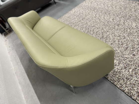 Image 1 of Leolux Lindo Sofa 3 Seater Senso Wasabi Leather