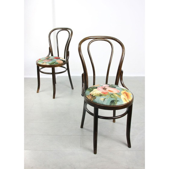 Image 1 of Set di 4 sedie da pranzo Thonet n. 18 in velluto vintage, color marrone scuro