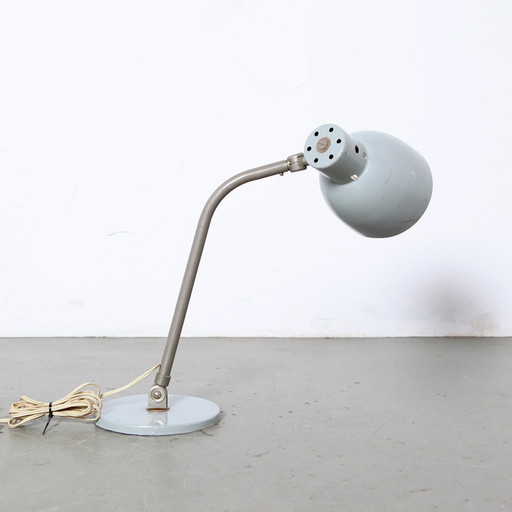 Desk lamp, Hala Zeist