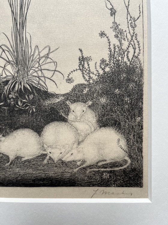 Image 1 of Jan Mankes 1889-1923 / Heliogravure originale 4 topi 1923 (bella cornice)