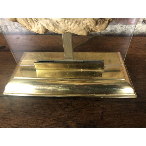 Image 1 of Vintage neoclassical lamp in altuglass and gilded metal, 1950