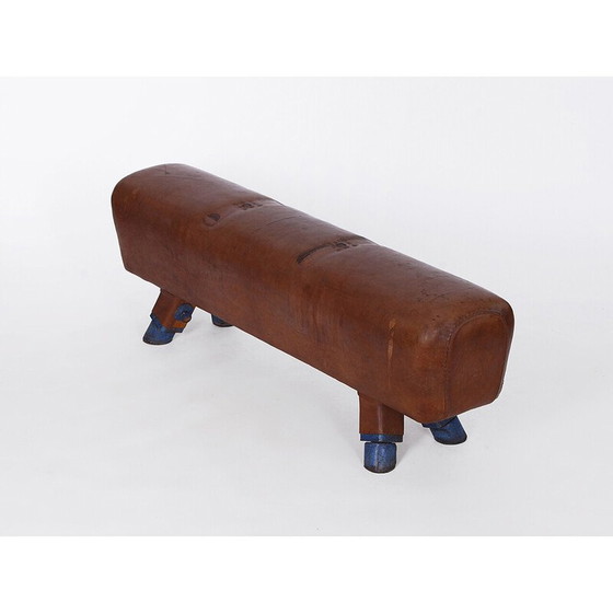 Image 1 of Vintage gymnastic leather pommel horse bench with wooden handles top, Czechoslovakia 1930s